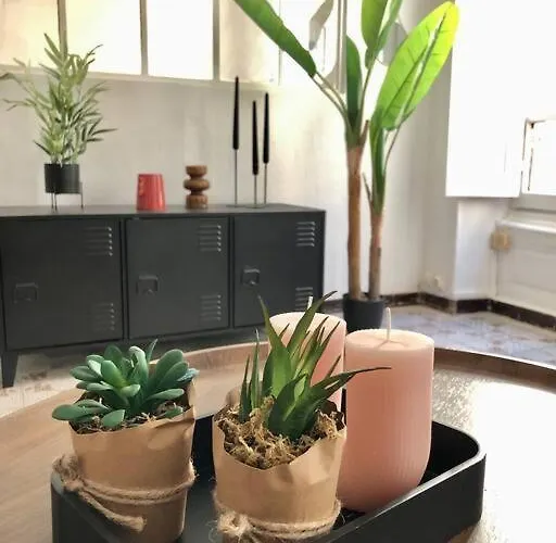 ღ Le Cypriano • T2 Au Centre De Avec Parking * Βαλένς